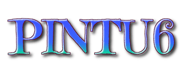 PINTU6