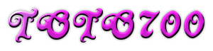 TOTO700 Logo