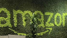 Amazon OA 面经 | 亚麻OA | 亚马逊笔试 | 亚马逊代面试 | Amazon VO辅助