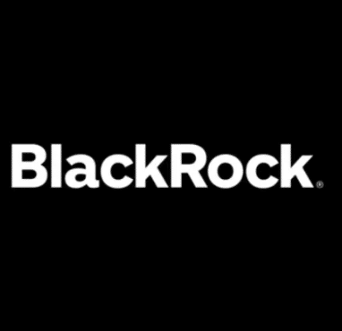 BlackRock 面经 - VO代面试 | 面试辅助 | VO辅助 | OA辅助 | 代面试