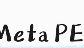 What to Expect on the Meta PE OA : Full Breakdown & Prep Tip