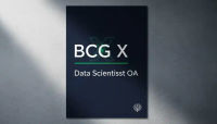 BCG X Data Scientist OA 复盘：四题顺利通过，基本都是老题