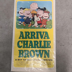 A Boy Named Charlie Brown - Locodina