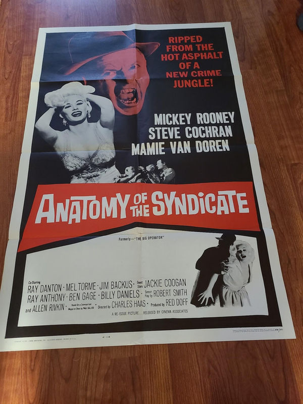 Anatomy Of The Syndicate - 1 Sheets/US