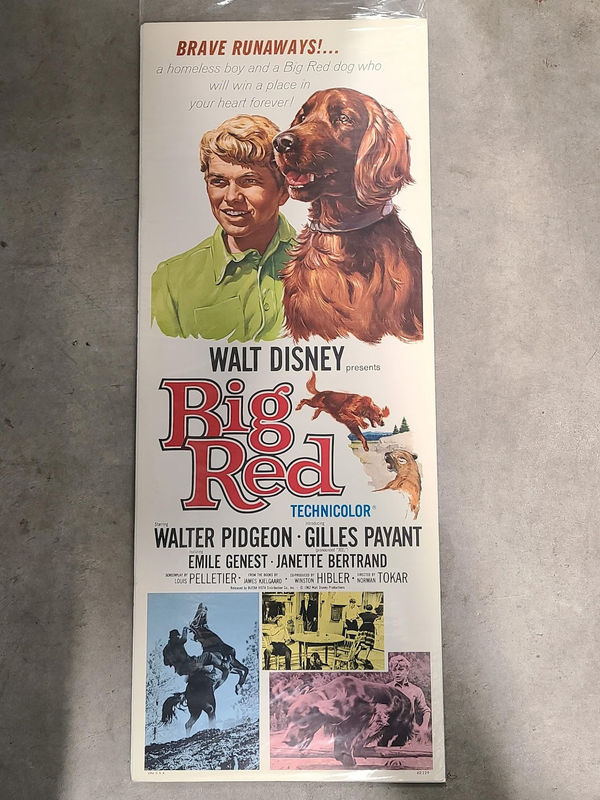 Big Red - Inserts