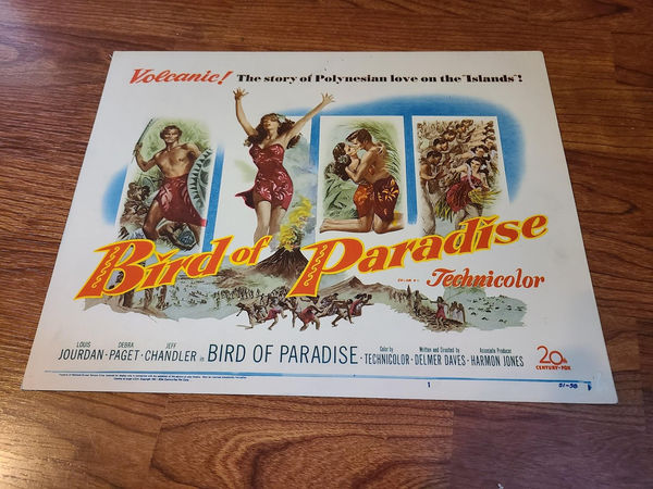 Bird Of Paradise - Title Cards