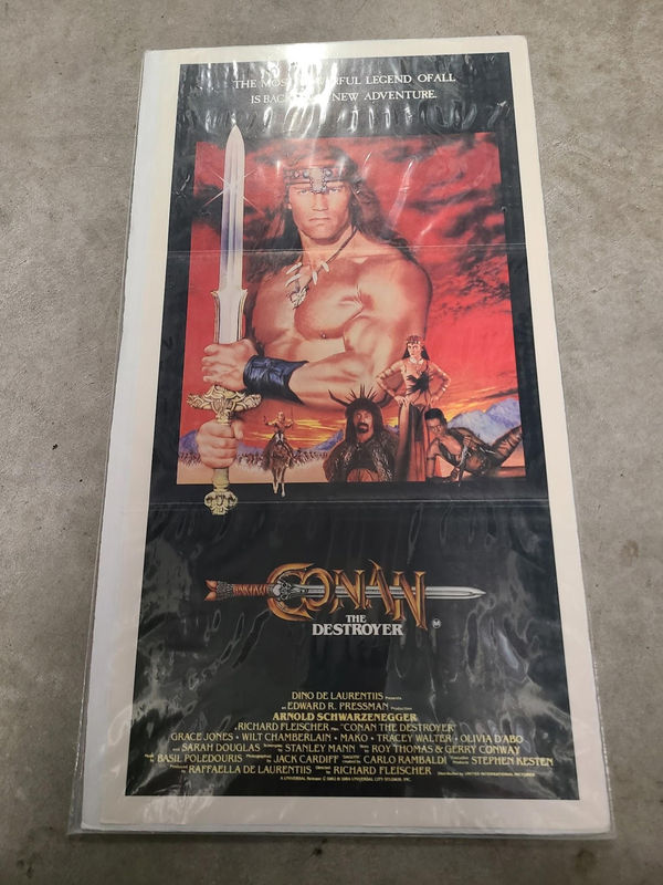 Conan The Destroyer - Daybills