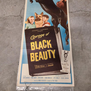 Courage Of Black Beauty - Inserts