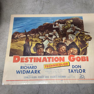 Destination Gobi - Half Sheets