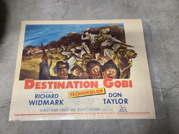 Destination Gobi - Half Sheets