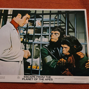 Escape From The Planet Of The Apes - Scifi/Horror