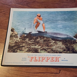 Flipper - General Lobby Cards