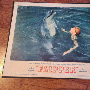 Flipper - General Lobby Cards