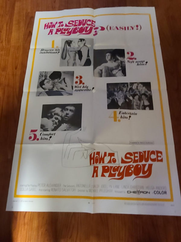 How to Seduce a Playboy - 1 Sheets/US