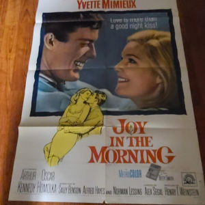 Joy in the Morning - 1 Sheets/US