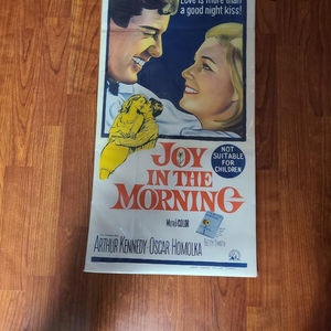 Joy In The Morning - Daybills