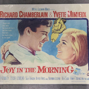 Joy In The Morning - Half Sheets