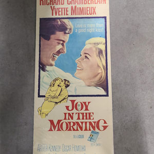 Joy In The Morning - Inserts