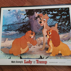 Lady And The Tramp - General Lobby Cards