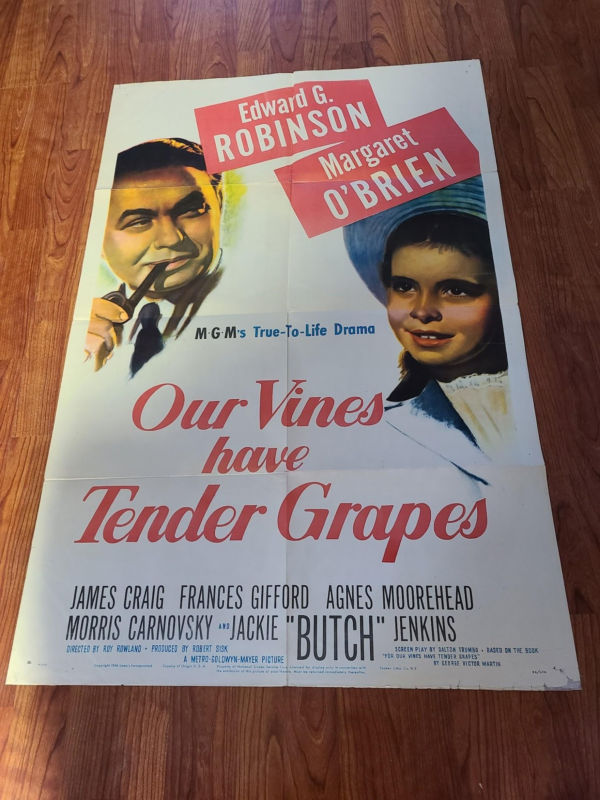 Our Vines Have Tender Grapes - 1 Sheets/US