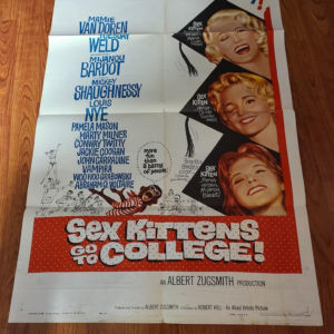 Sex Kittens Go To College - 1 Sheets/US