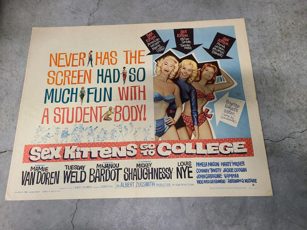 Sex Kittens Go to College - Half Sheets