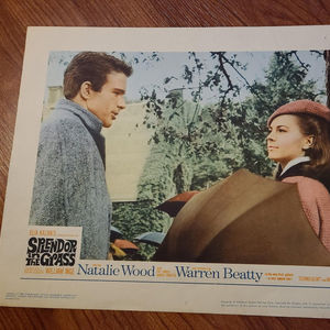 Splendor In The Grass - General Lobby Cards