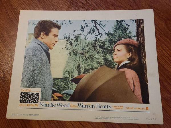 Splendor In The Grass - General Lobby Cards