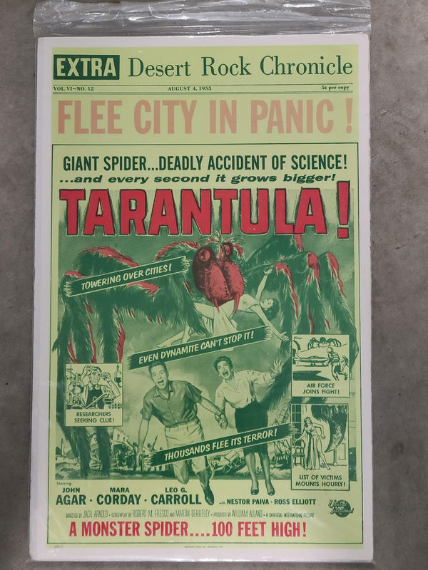 Tarantula - Window Cards