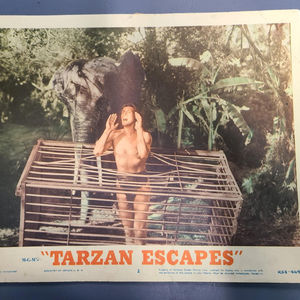 Tarzan Escapes - General Lobby Cards