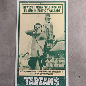 Tarzan's Three Challenges - Daybills