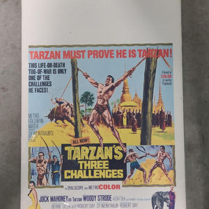 Tarzan's Three Challenges - Window Cards