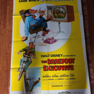 The Barefoot Executive - 1 Sheets/US