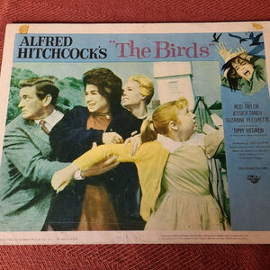 The Birds - Scifi/Horror