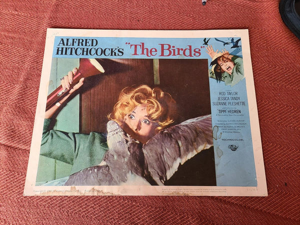 The Birds - Scifi/Horror