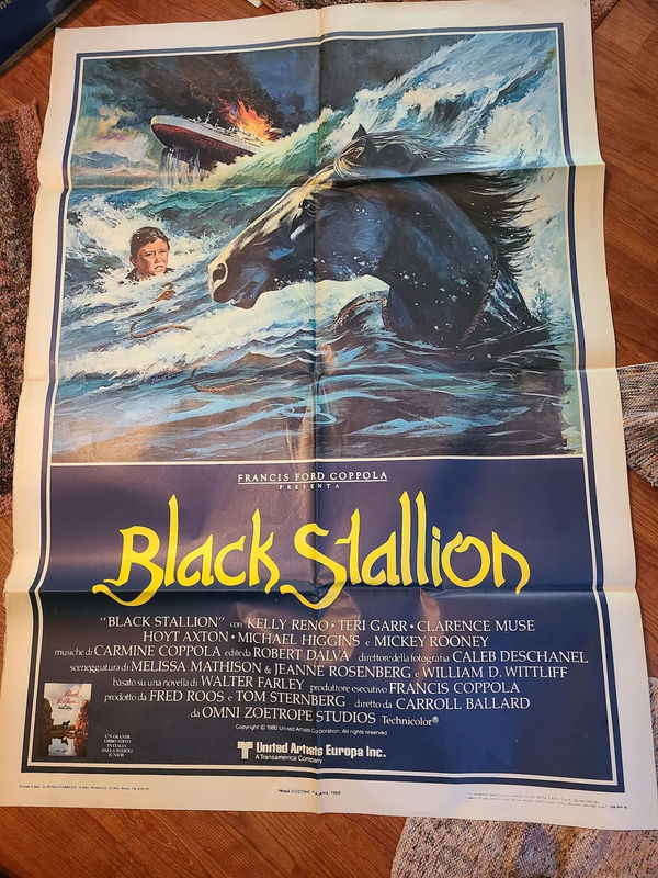 The Black Stallion - Italian Posters