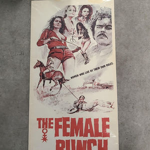 The Female Bunch - Daybills