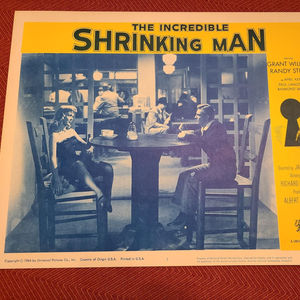 The Incredible Shrinking Man - Scifi/Horror