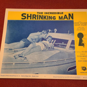 The Incredible Shrinking Man - Scifi/Horror