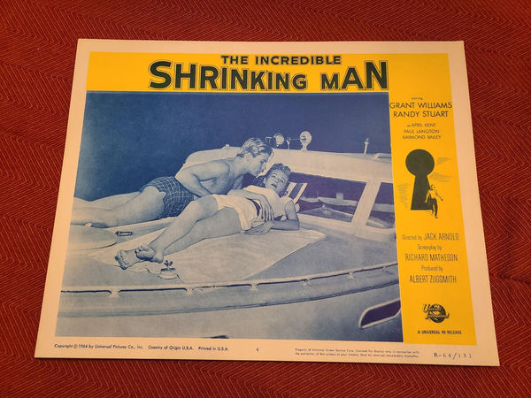 The Incredible Shrinking Man - Scifi/Horror