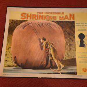 The Incredible Shrinking Man - Scifi/Horror