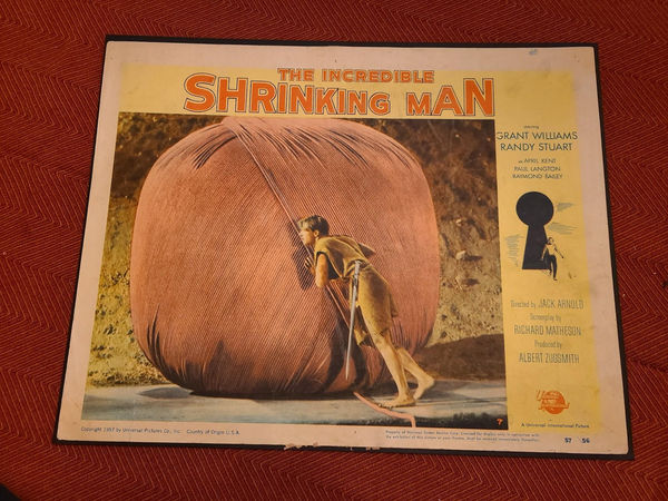 The Incredible Shrinking Man - Scifi/Horror