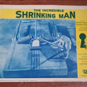 The Incredible Shrinking Man - Scifi/Horror