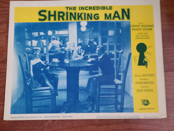 The Incredible Shrinking Man - Scifi/Horror