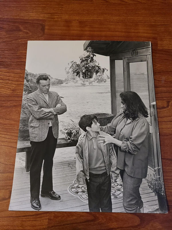 The Sandpiper - General Lobby Cards