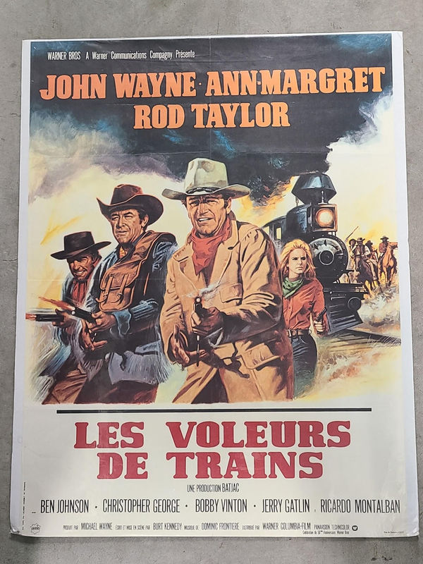 The Train Robbers - French