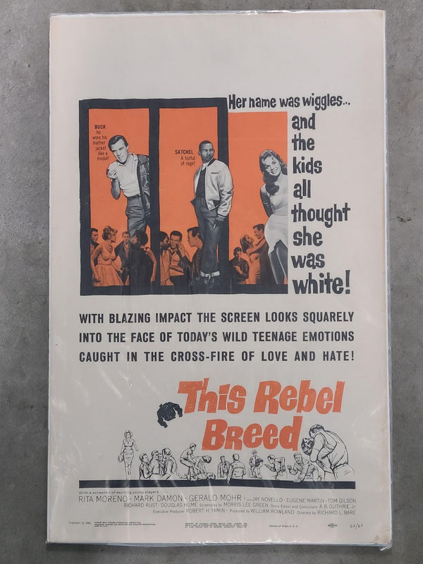 This Rebel Breed - Window Cards