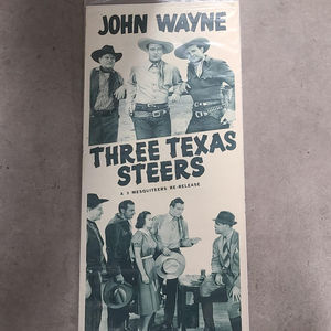 Three Texas Steers - Inserts