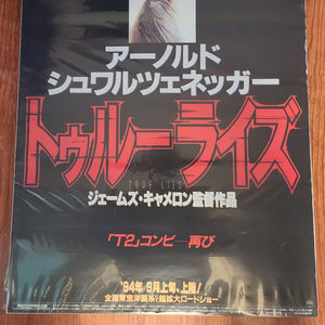 True Lies - Japanese