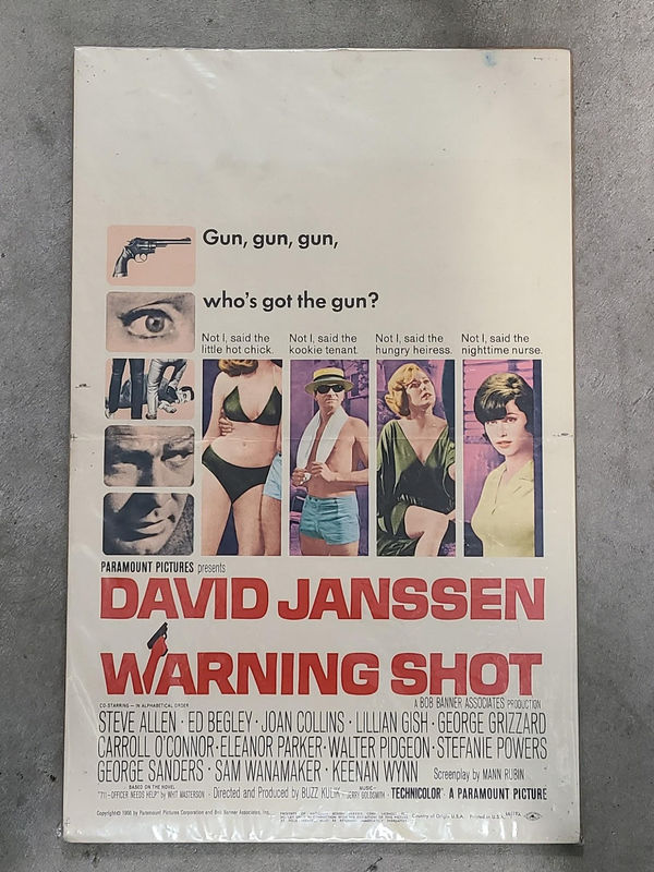 Warning Shot - Window Cards